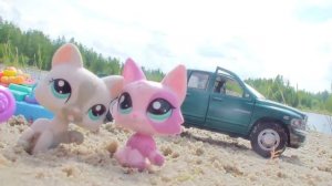 Принцесса Пет Шоп LPS СЕРИАЛ  Девки, ПАРНИ РоКеНрОл! 1Серия 1Сезон Дачный пруд