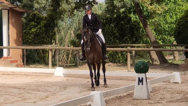 ✅🏆1️⃣Concurso de DOMA CLÁSICA 2021🐴POTROS DE 4 AÑOS 🦓Día de CONCURSO👌👍 1ER PRUEBA de una POTRA. смотреть онлайн