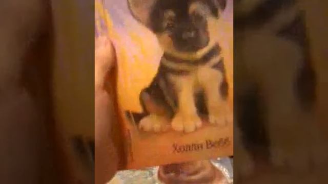 Лес дружбы смотреть онлайн