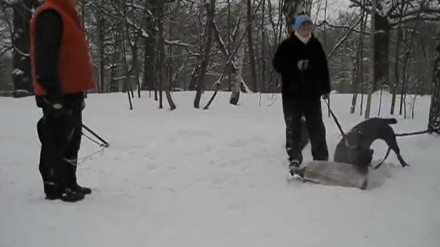 Серка кусачки 1.mpg смотреть онлайн