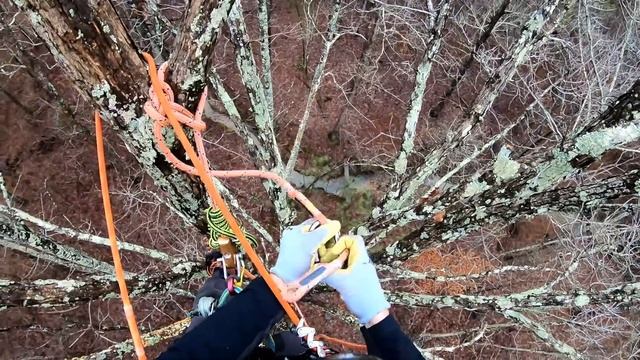 The End Game смотреть онлайн