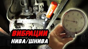 ВИБРАЦИИ на Ниве/Шниве. Как ИЗБАВИТЬСЯ навсегда? ПЕРВОЕ БОЛЬШОЕ и ПОДРОБНОЕ ВИДЕО. #ШНИВАСОТКА 7