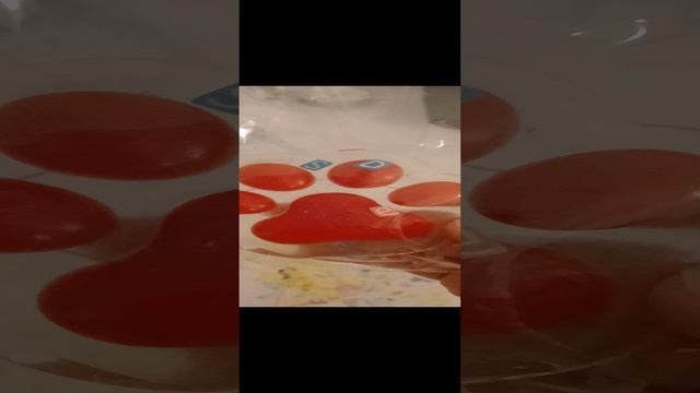 мои лапки смотреть онлайн