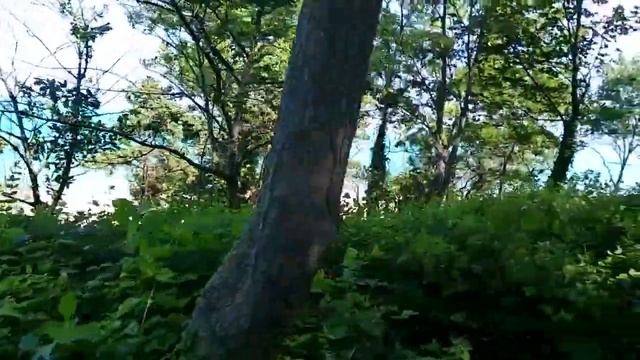 Поездка в Бургас приморский парк смотреть онлайн