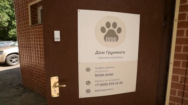 Наши двери открыты для Вас и Ваших питомцев! смотреть онлайн
