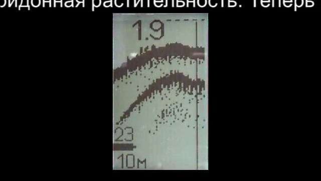 Эхолот ПРАКТИК ЭР-4. Плывем к берегу и обратно смотреть онлайн