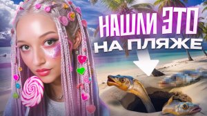 Что будет если перекопать ПЕСОК у МОРЯ?