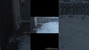 По Домофону #Такси#Жена##2#