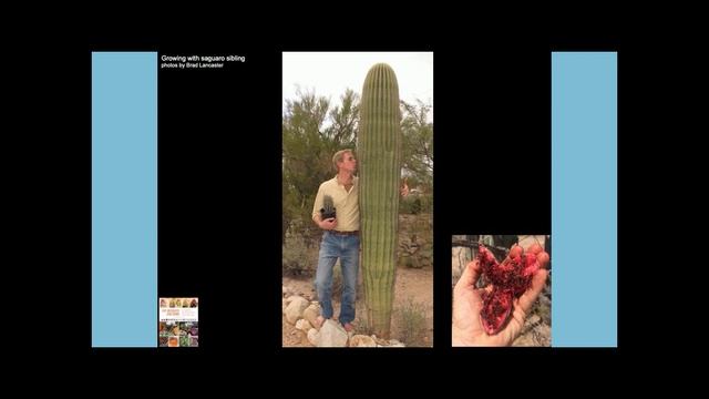 Brad on mesquite and rewilding смотреть онлайн