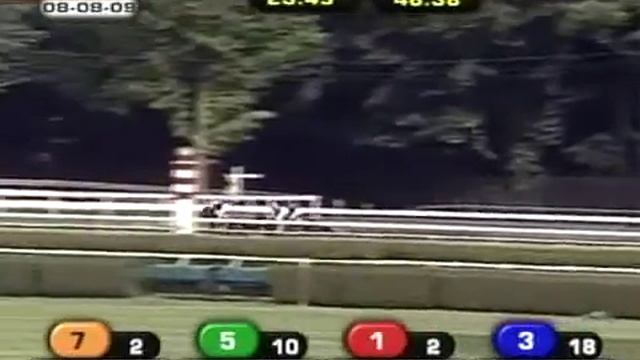 Bullsbay - Whitney Handicap G1 - 8/8/09 смотреть онлайн