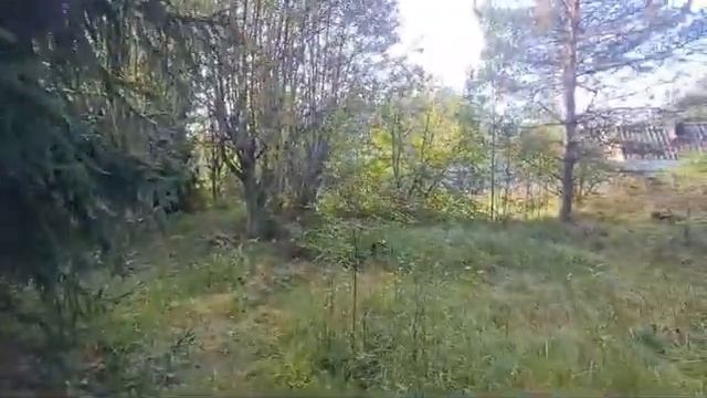 участок 12 соток |СНТ Корунд смотреть онлайн