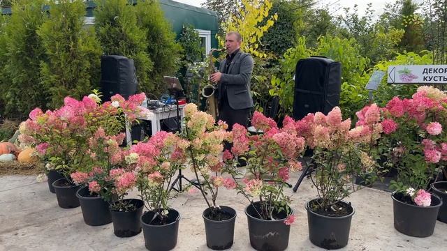 День винограда в Егорьевском питомнике Никитенко Александра смотреть онлайн