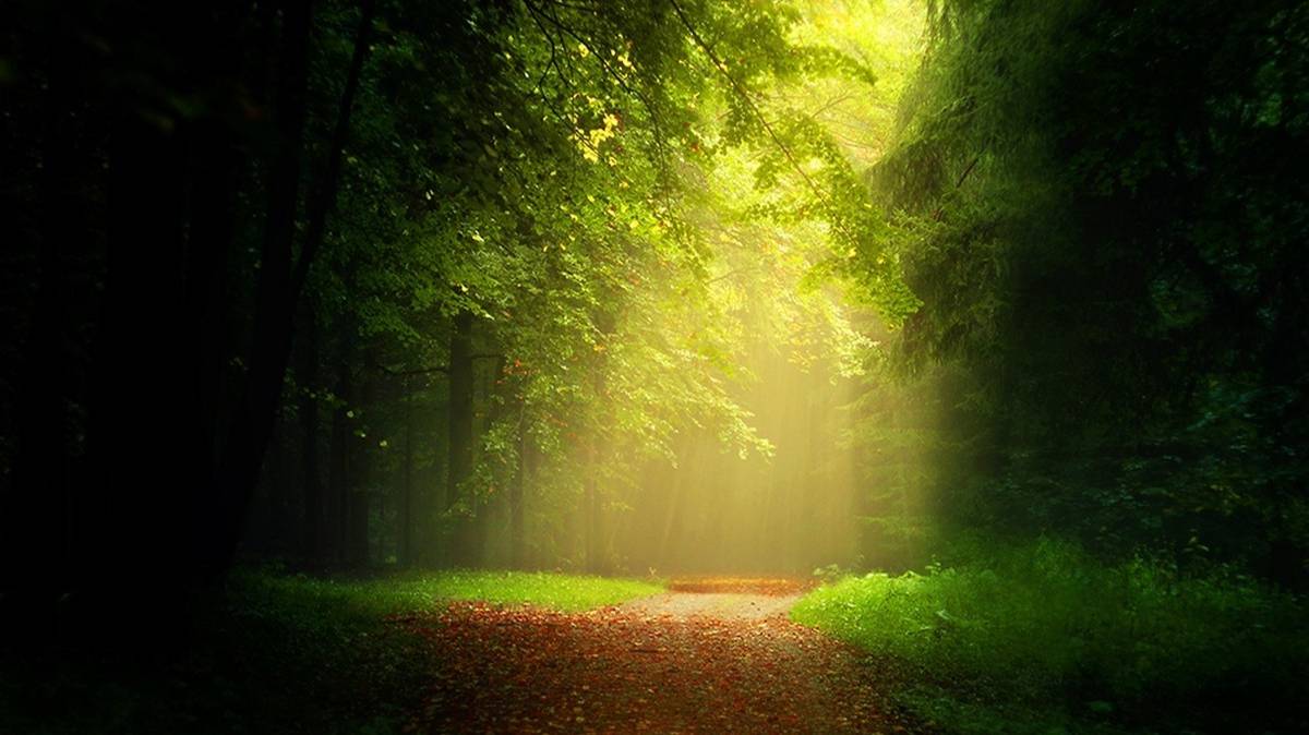 VID_20240922_140312_637.mp4