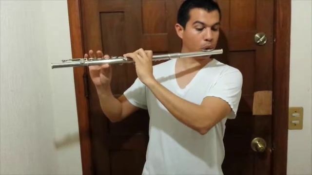 prueba de flauta Armstrong смотреть онлайн