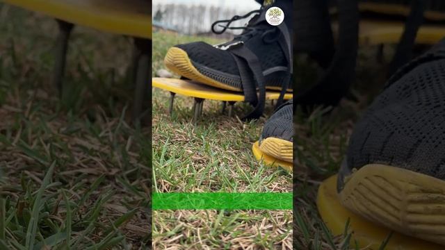 Аэрация газона весной за 1 минуту #shorts #сад #дача #новости #газон #огород смотреть онлайн