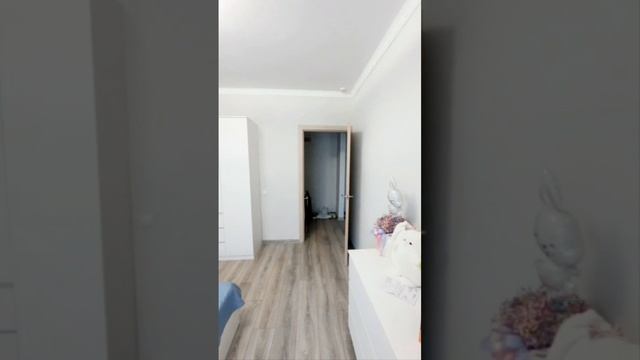 Кошевого 24 смотреть онлайн