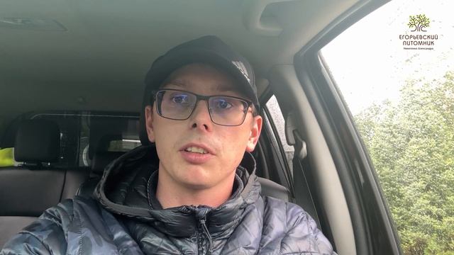 Дождь. Поливает ли он ваши растения? Рассказывает агроном Егорьевского питомника смотреть онлайн