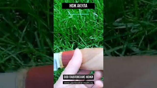 Нож Акула #топ #обзор #нож смотреть онлайн