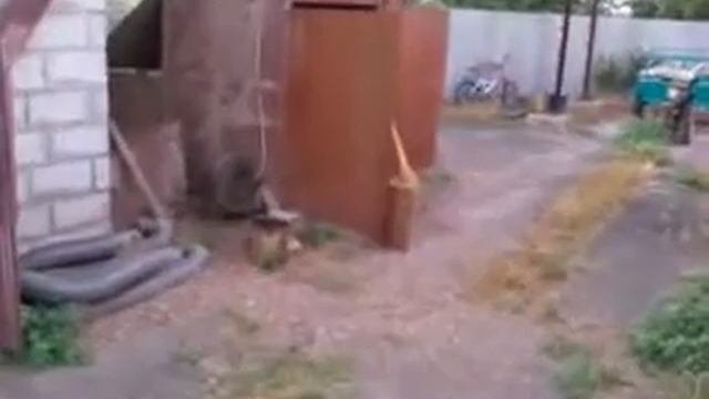 Видео0023 смотреть онлайн