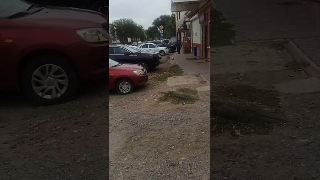 WhatsApp Video 2024-10-03 at 12.10.42 смотреть онлайн