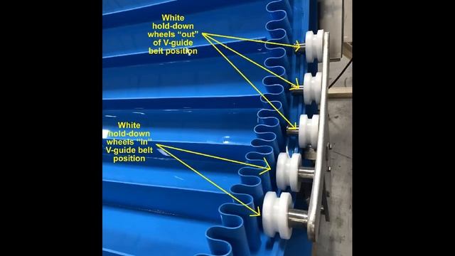 Sanitary Flighted Incline Conveyor for Varios Shapes and Sizes by Multi Conveyor смотреть онлайн