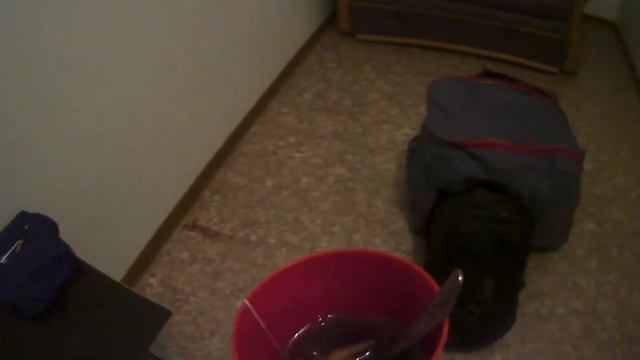 Потерял КВАРТИРУ! смотреть онлайн