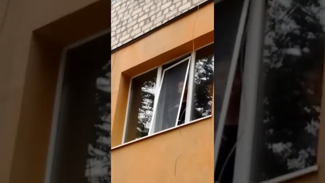 Упала сетка смотреть онлайн