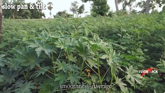 Amazon Basics tripod 50-inch | Unboxing & Review | தமிழ் [Tamil] - Tech nick смотреть онлайн