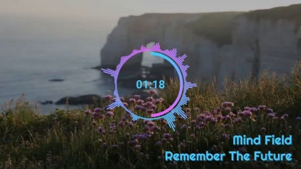 Remember The Future - Mind Field