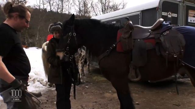 Eurofers-Equidia смотреть онлайн