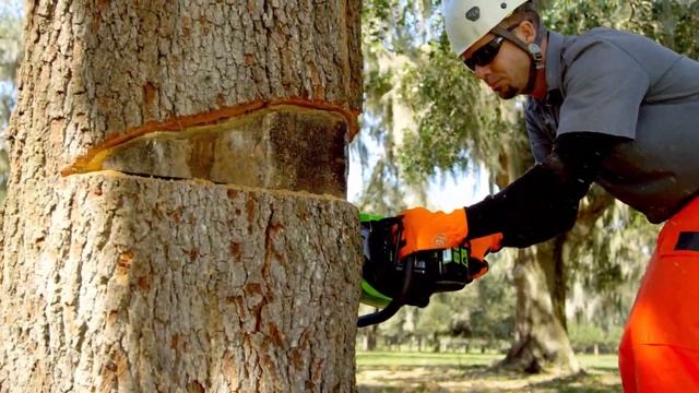 Greenworks 80V Pro Chainsaw with Matthew Neal смотреть онлайн