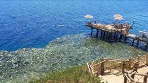 Обзор и отзыв о территории пляж и море отеля GOLF BEACH RESORT SHARM EL SHEIKH сентябрь 2024 года