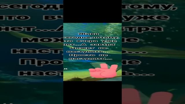 Бессмертных нет и осознать пора. У жизни есть жестокая - но правда. 💕💕💕 смотреть онлайн