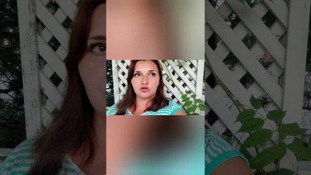 Bridge Resort 4* в Сочи.Ужин кавказской кухни. #bridgeresort#бриджрезорт#отпуск2023