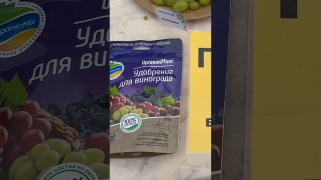 День винограда в Егорьевском питомнике смотреть онлайн