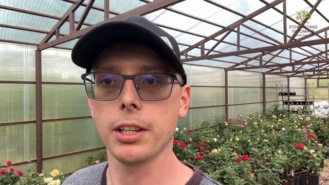 Поговорим про экологию и БУшные горшки смотреть онлайн