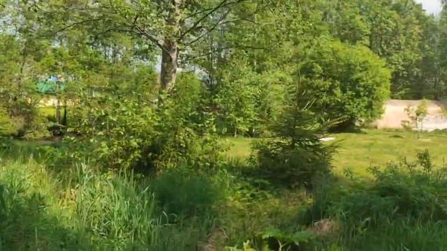 Участок в деревне Нижние Осельки смотреть онлайн