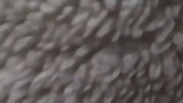 Казанское метро. На поезде 81-740.4 (Русич.4) №0302, 0893 и 0303, Суконная Слобода - Проспект Побед смотреть онлайн