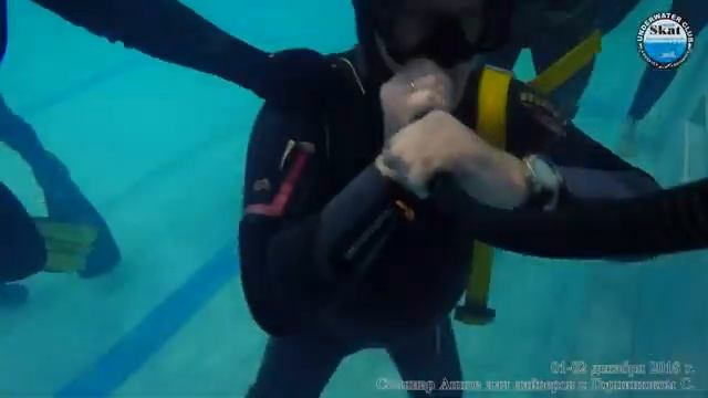 2018_12_1-2 - Семинар Апное для дайверов с Сергеем Горпинюком смотреть онлайн
