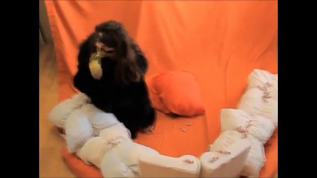 Сказка про Микробуса Кариеса смотреть онлайн