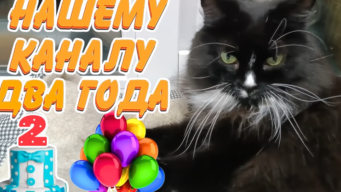 Нашему каналу в YouTube два года. смотреть онлайн