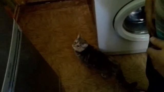 ШОУ ДЕТСКАЯ КУХНЯ смотреть онлайн