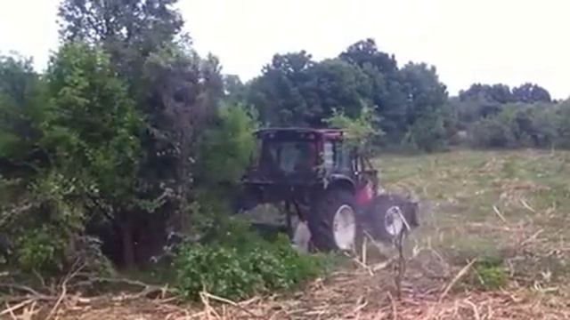 Почистване на драки язовир Ивайловград смотреть онлайн