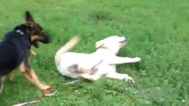 Грязевые ванны смотреть онлайн