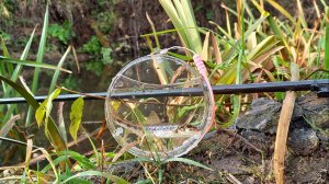 03.10.24.г.Пескарики  на микро речке.