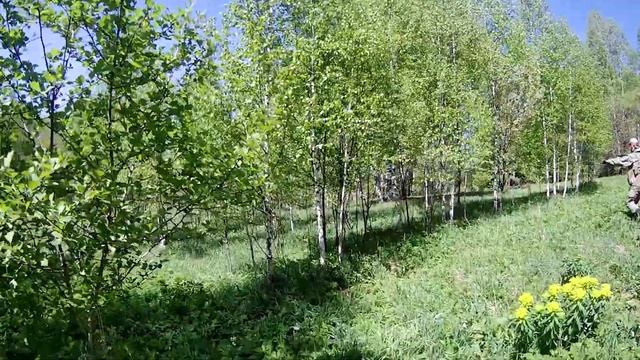 Страйкбол || Airsoft на полигоне Карлык 10.05.2020 смотреть онлайн