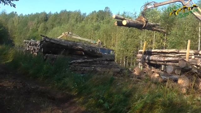 Шабалинский район из сельскохозяйственного превратился в сырьевой придаток смотреть онлайн