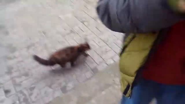 Ржака у домофона #4 смотреть онлайн