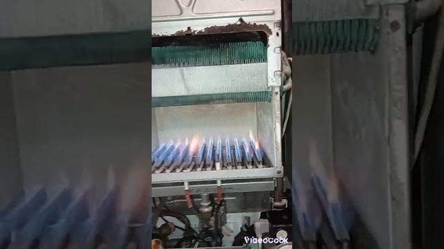 Профилактика котла Ферроли