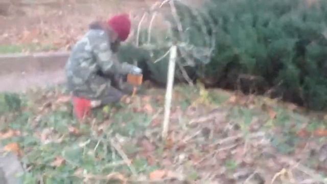 таблички в саду смотреть онлайн